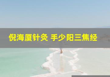 倪海厦针灸 手少阳三焦经